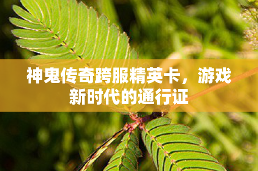 神鬼传奇跨服精英卡图片