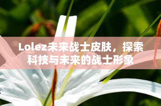 探索科技与未来的战士形象图片