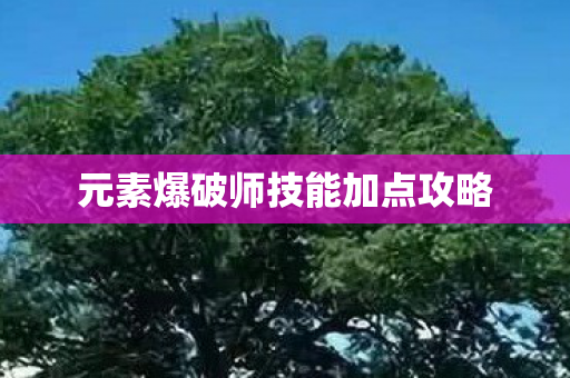 元素爆破师技能加点攻略图片