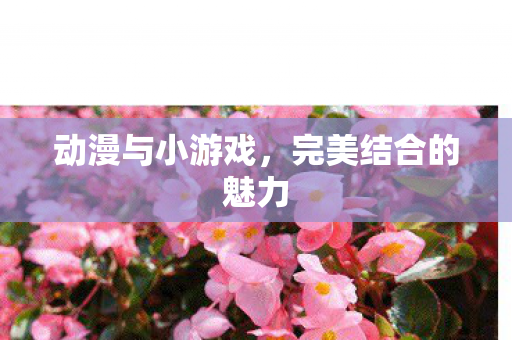 完美结合的魅力图片