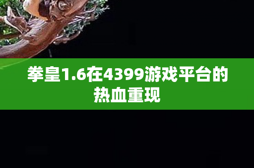6在4399游戏平台的热血重现图片