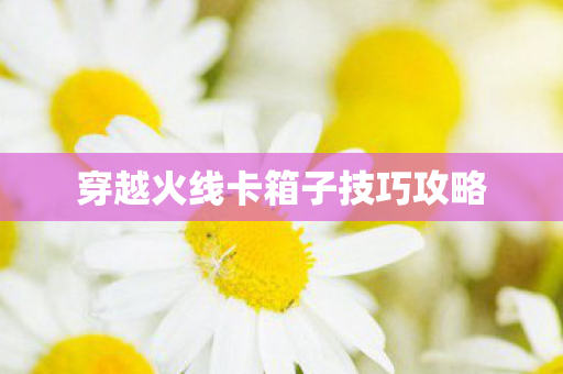 穿越火线卡箱子技巧攻略图片