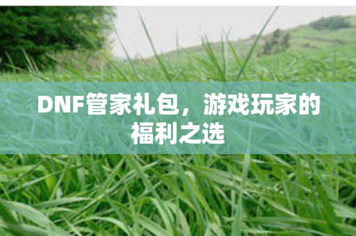 游戏玩家的福利之选图片