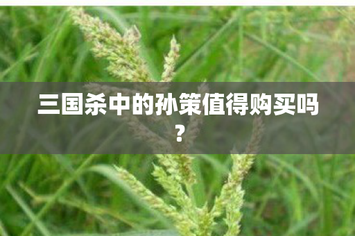 三国杀中的孙策值得购买吗图片