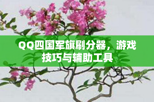 QQ四国军旗刷分器图片