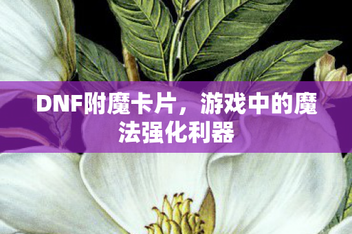 游戏中的魔法强化利器图片