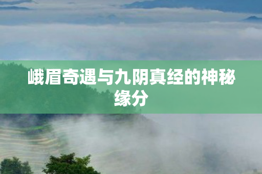峨眉奇遇与九阴真经的神秘缘分图片