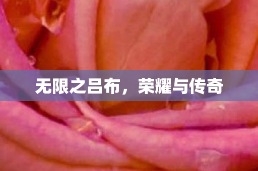 无限之吕布图片