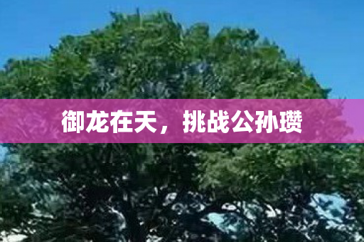 挑战公孙瓒图片