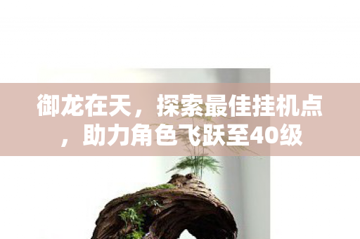 助力角色飞跃至40级图片