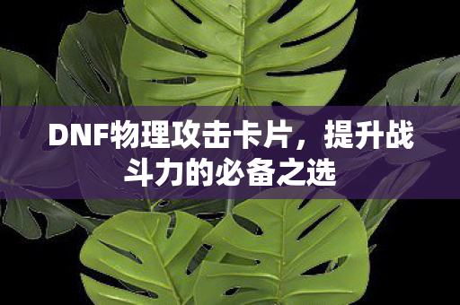 提升战斗力的必备之选图片