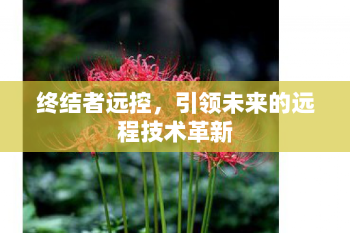 引领未来的远程技术革新图片
