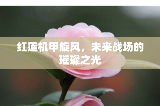 未来战场的璀璨之光图片