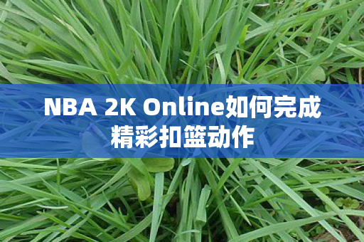 NBA 2K Online如何完成精彩扣篮动作图片