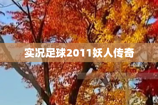 实况足球2011妖人传奇图片
