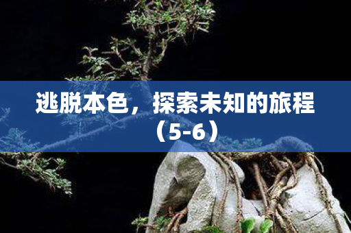 探索未知的旅程图片