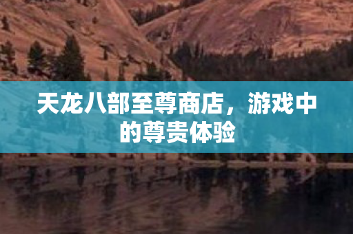 天龙八部至尊商店图片