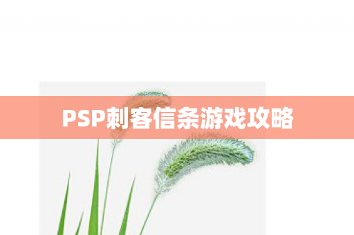 PSP刺客信条游戏攻略图片