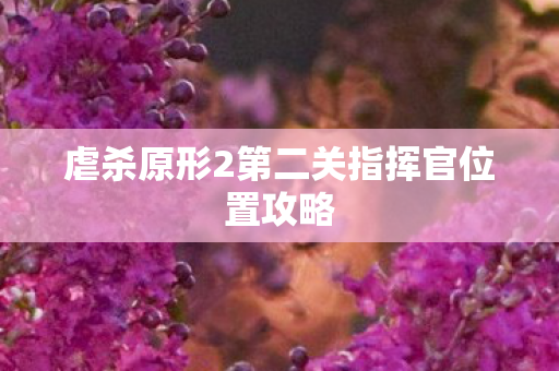 虐杀原形2第二关指挥官位置攻略图片