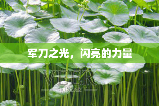 闪亮的力量图片