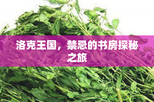 禁忌的书房探秘之旅图片