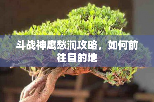 斗战神鹰愁涧攻略图片