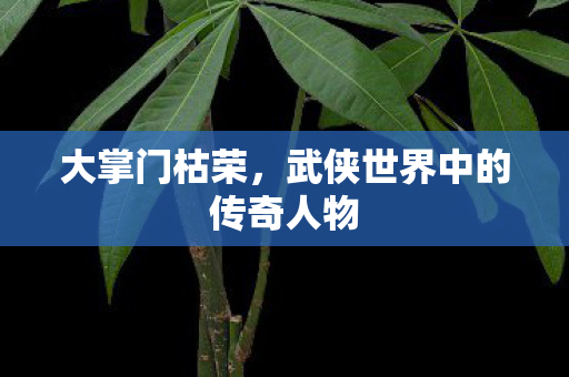 武侠世界中的传奇人物图片