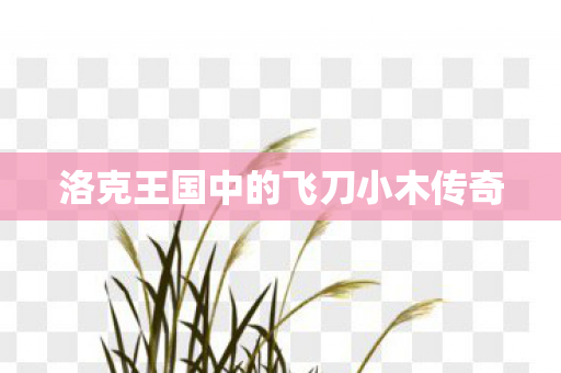 洛克王国中的飞刀小木传奇图片