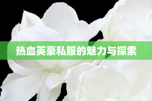 热血英豪私服的魅力与探索图片
