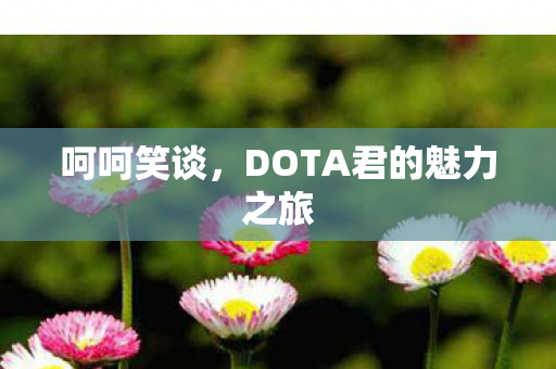 DOTA君的魅力之旅图片