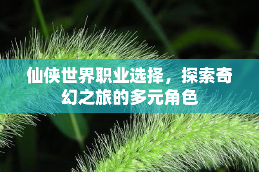 探索奇幻之旅的多元角色图片