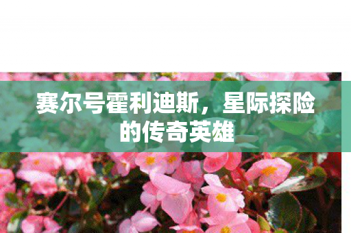 星际探险的传奇英雄图片