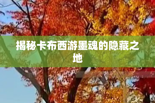 揭秘卡布西游墨魂的隐藏之地图片