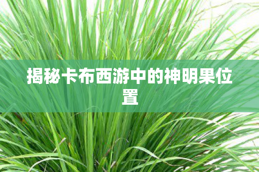 揭秘卡布西游中的神明果位置图片
