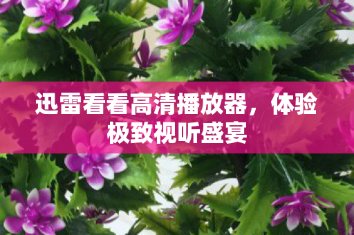 迅雷看看高清播放器图片
