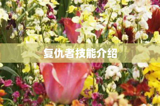 复仇者技能介绍图片