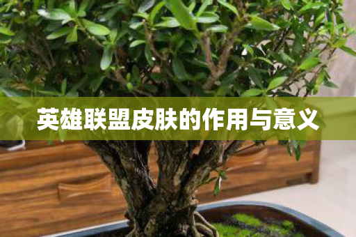 英雄联盟皮肤的作用与意义图片