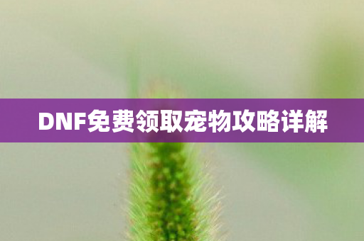DNF免费领取宠物攻略详解图片