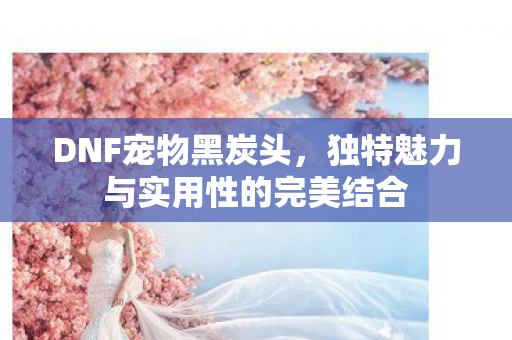 独特魅力与实用性的完美结合图片
