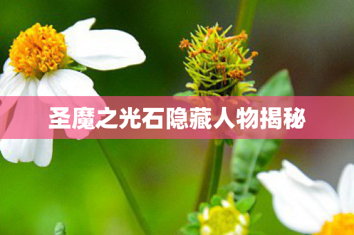 圣魔之光石隐藏人物揭秘图片