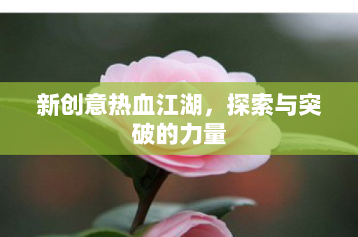 探索与突破的力量图片