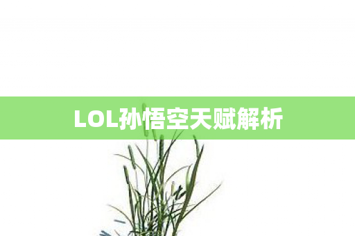 LOL孙悟空天赋解析图片