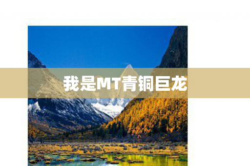 我是MT青铜巨龙图片