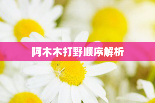 阿木木打野顺序解析图片
