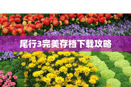 尾行3完美存档下载攻略图片
