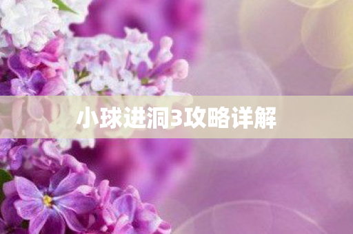 小球进洞3攻略详解图片