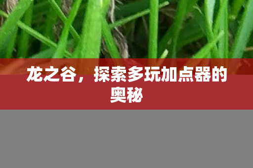 探索多玩加点器的奥秘图片