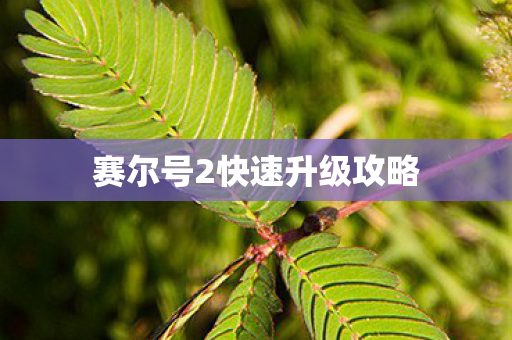 赛尔号2快速升级攻略图片
