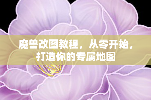 打造你的专属地图图片