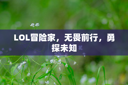 LOL冒险家图片